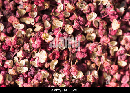 Red Sichuan Pfeffer im Sonnenlicht Stockfoto