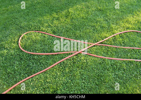 Rasen mit grünem Gras und ein Gummischlauch für die Bewässerung des Gartens. Stockfoto