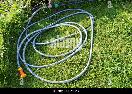 Rasen mit grünem Gras und ein Gummischlauch für die Bewässerung des Gartens. Stockfoto