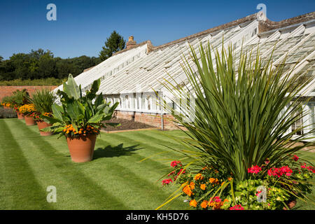 Großbritannien, England, Essex, Saffron Walden, Audley End House Küche Garten, der Weinstock Haus Stockfoto