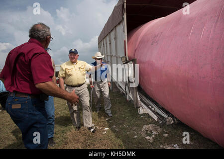 Gehen zurück mit Förderwagen Backup und Laden rund Module aus Baumwolle US-Landwirtschaftsminister Sonny Perdue Uhren als neue Mikrowelle Feuchtigkeitssensor misst die Last, wie es in den Anhänger, In der Kabine hat der Fahrer sofortige Ergebnisse des Scans und kann die Mocule zum Gin zur Verarbeitung oder zu anderen Bereichen zum Trocknen und Lagern an einem der besuchten Standorte bringen, um Schäden an der Landwirtschaft durch Hurrikan Harvey, von Houston nach El Campo, Texas, zu sehen. Am 21. September 2017. Er wurde von US-Repräsentantenhaus Landwirtschaft Ausschuss Vorsitzender K. Michael Conaway (TX Stockfoto