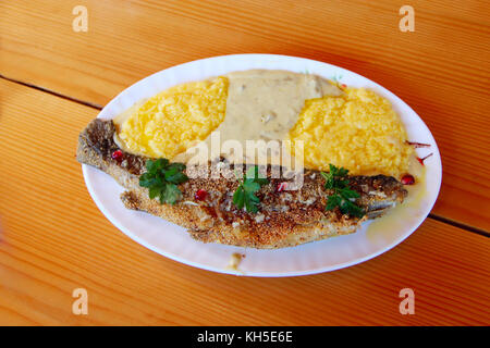 Forelle gebraten mit banusz. Teller mit gebratenen Forellen und banusz mit Pilzsuppe Stockfoto