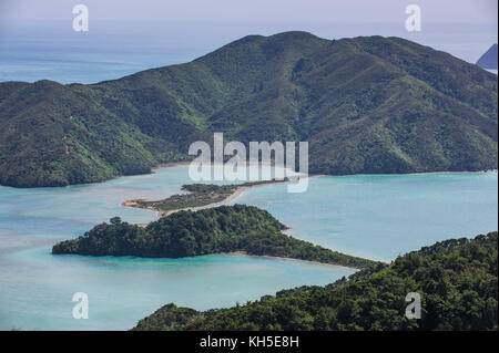 Blick über die Marlborough Sounds, Südinsel, Neuseeland Stockfoto