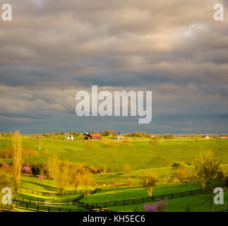 Schönen Frühling Szene in Kentucky Bluegrass Region Stockfoto