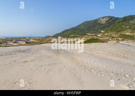 Ponta Dos Ingleses im Costao Do Santinho Strand, Florianopolis, Santa Catarina, Brasilien Stockfoto