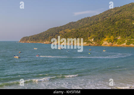 Boote in Ponta Dos Ingleses Praia dos Ingleses Strand, Florianopolis, Santa Catarina, Brasilien Stockfoto