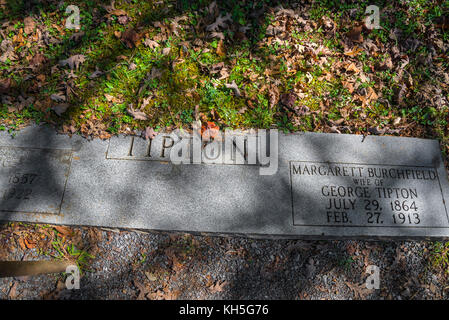 Great Smoky Mountains National Park. Cades Cove Loop Road. Stockfoto