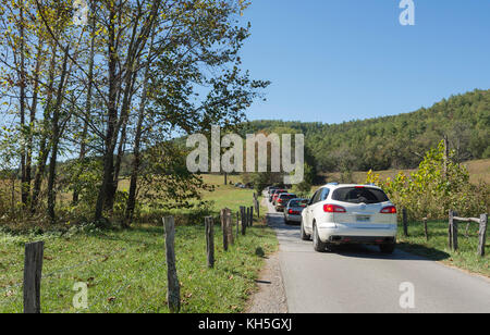 Great Smoky Mountains National Park. Cades Cove Loop Road. Stockfoto