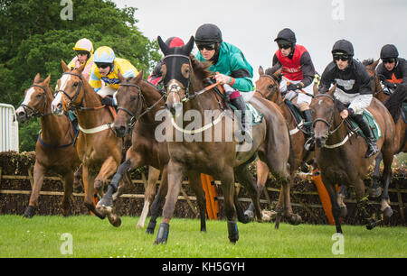 Pferderennen in Uttoxeter Rennbahn, Großbritannien Stockfoto