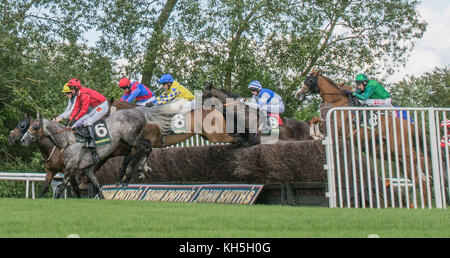 Pferderennen in Uttoxeter Rennbahn, Großbritannien Stockfoto