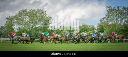 Pferderennen in Uttoxeter Rennbahn, Großbritannien Stockfoto