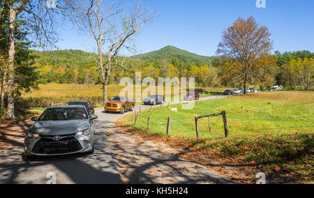 Great Smoky Mountains National Park Cades Cove Loop Road. Der Verkehr wurde während der Herbstsaison der „Leaf Peepers“ wieder aufgefahren. Stockfoto