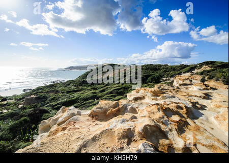 Arai-te-uru Erholung finden, Hokianga Harbour, Westcoast Northland, North Island, Neuseeland Stockfoto