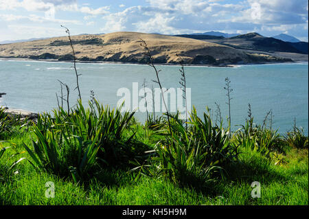 Ansicht der arai-te-uru Erholung finden südlichen Ende von Hokianga Harbour, Westcoast Northland, North Island, Neuseeland Stockfoto