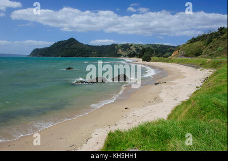 Einsamer Strand an der Küste des Nördlichen Coromandel, North Island, Neuseeland Stockfoto