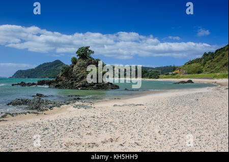 Einsamer Strand an der Küste des Nördlichen Coromandel, North Island, Neuseeland Stockfoto