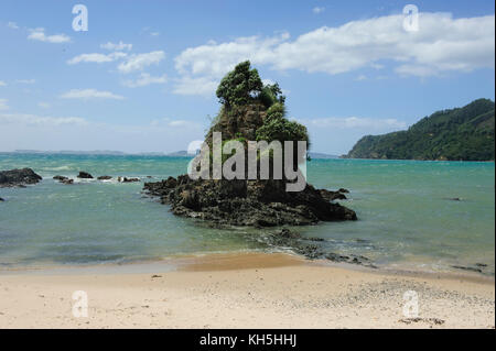 Einsamer Strand an der Küste des Nördlichen Coromandel, North Island, Neuseeland Stockfoto