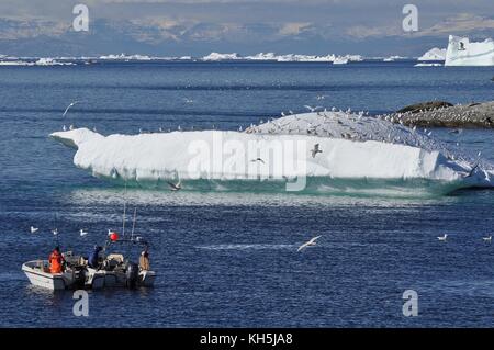 Riesige Eisberge aus Ilulissat in der Diskobucht, Grönland Stockfoto