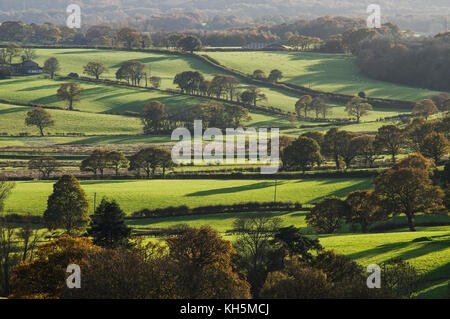 Lange herbstliche Schatten über dem Flickenteppich aus Feldern und Weiden in East Sussex Stockfoto