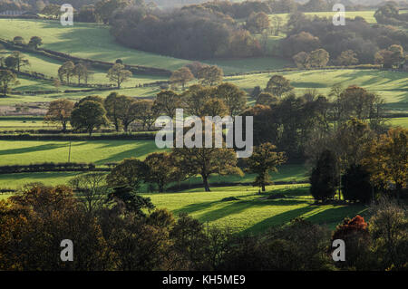 Lange herbstliche Schatten über dem Flickenteppich aus Feldern und Weiden in East Sussex Stockfoto