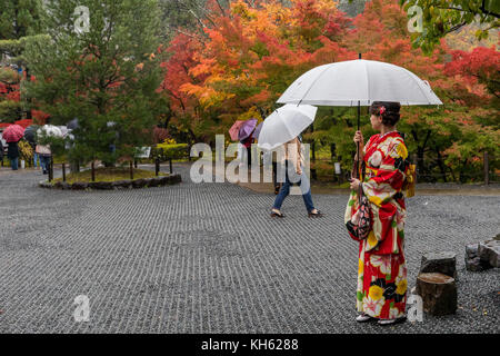 Kyoto, Japan, 14. November 2017: Eine Frau in traditioneller japanischer Kleidung steht mit einem Schirm am Eikando-Tempel von Kyoto, einem beliebten Reiseziel, da die Herbstsaison Mitte bis Ende November in einer kaskadierenden Herbstfarbe ihren Höhepunkt erreicht. Quelle: Perry Svensson/Alamy Live News Stockfoto