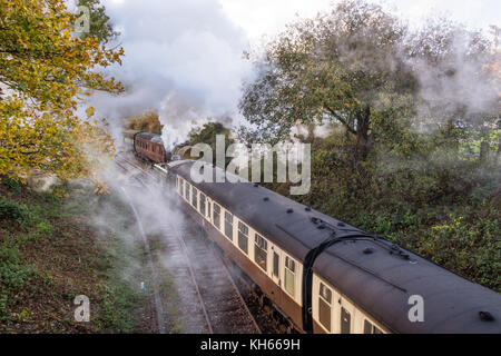 Die Llangollen Railway (Walisisch: Rheilffordd Carrog Llangollen) am Bahnhof, Carrog, Denbighshire, North Wales, UK Stockfoto