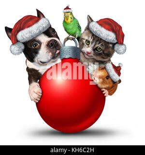 Weihnachtsschmuck als niedliches Katzenwelpen und Vogel mit einem entzückenden Hamster, der einen weihnachtsmann-Hut als Symbol der Wintersaison trägt. Stockfoto