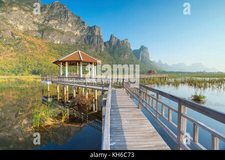 Bung bua im Khao Sam Roi Yod Nationalpark, Thailand Stockfoto