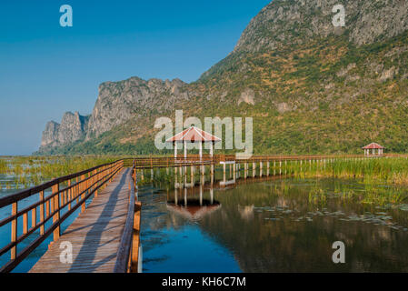 Bung bua im Khao Sam Roi Yod Nationalpark, Thailand Stockfoto