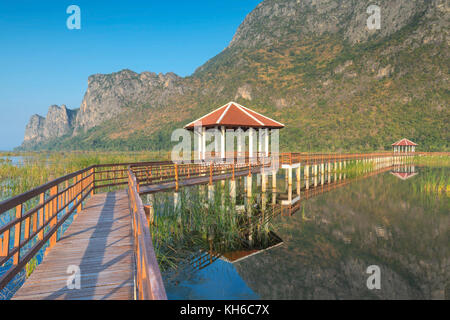 Bung bua im Khao Sam Roi Yod Nationalpark, Thailand Stockfoto