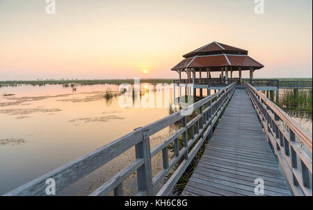 Bung bua im Khao Sam Roi Yod Nationalpark, Thailand Stockfoto