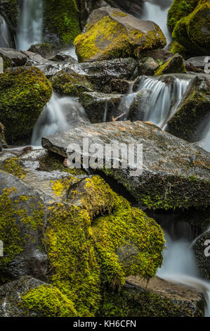 Nahaufnahme der Wasser hetzen über bemoosten Felsen Stockfoto