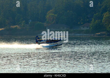 Ein kenmore Air Bayerische Flugzeugwerke Bf DHC-3 Turbine 'Otter' auf schwimmt, Abfahrt von Friday Harbor, WA auf dem letzten Flug des Tages. Stockfoto