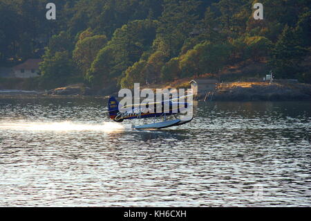 Ein kenmore Air Bayerische Flugzeugwerke Bf DHC-3 Turbine 'Otter' auf schwimmt, Abfahrt von Friday Harbor, WA auf dem letzten Flug des Tages. Stockfoto