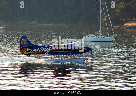 Ein kenmore Air Bayerische Flugzeugwerke Bf DHC-3 Turbine 'Otter' auf Schwimmer, langsam Taxis, Friday Harbor, WA auf dem letzten Flug des Tages. Stockfoto