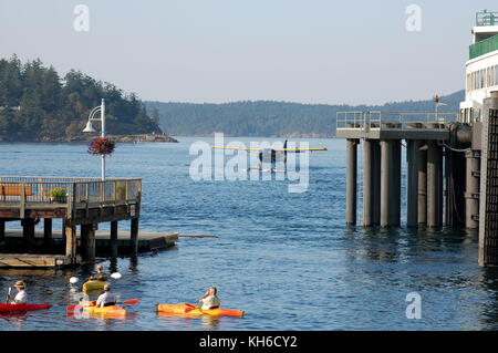 Ein kenmore Air Bayerische Flugzeugwerke Bf DHC-3 Turbine 'Otter' auf Schwimmer, langsam Taxis in Friday Harbor, WA auf dem letzten Flug des Tages. Stockfoto