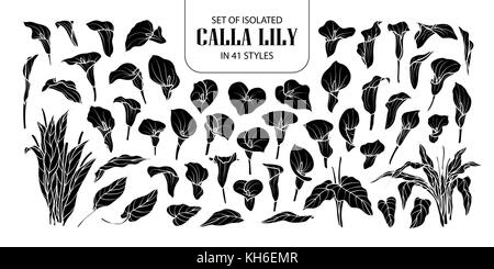 Eingestellt von isolierten Silhouette calla Lilie in 41 Stile. cute Hand gezeichnet Blume Vector Illustration in weißer Umriss und schwarzen Flugzeug auf schwarzem Hintergrund. Stock Vektor