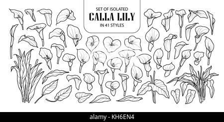 Eingestellt von isolierten calla Lilie in 41 Stile. cute Hand gezeichnet Blume Vector Illustration in schwarzer Umriss und weißen Ebene auf weißem Hintergrund. Stock Vektor
