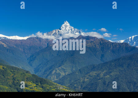 Blick auf Fischschwanz oder Berg machhapuchare von dhampus Dorf, Nepal Stockfoto