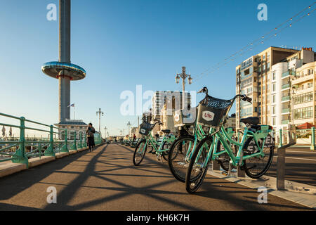 Herbst am Nachmittag direkt an der Meeresküste von Brighton, East Sussex, England. i360 Tower in der Ferne. Stockfoto
