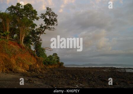 Sonnenuntergang auf einem schwarzen Rocky tropical Waterfront mit mehreren Bäumen wachsen auf dem Hügel. Stockfoto