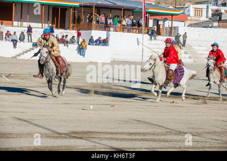 Polo viel während des Ladakh Festivals in Leh, Indien Stockfoto