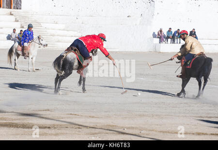 Polo viel während des Ladakh Festivals in Leh, Indien Stockfoto