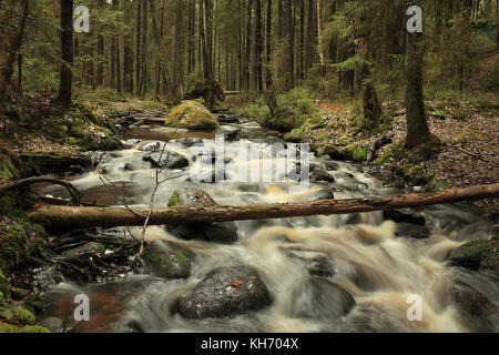 Roll auf einem schnellen Fluss, malerischen Wald Landschaft, Langzeitbelichtung Stockfoto