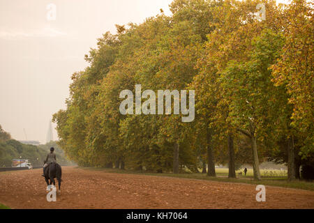 Herbst im HYDE PARK BILD JEREMY SELWYN 16/10/2017 Credit: Evening Standard Stockfoto