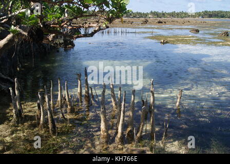 Paradise Island siargao Stockfoto