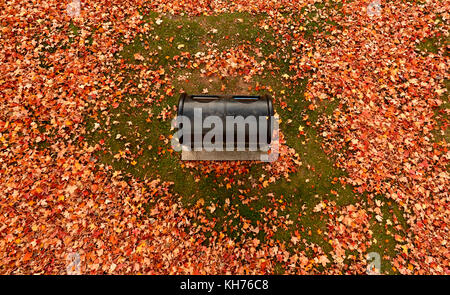 Pol Antenne schwarz Müllcontainer durch Herbstlaub auf Gras umgeben. Stockfoto