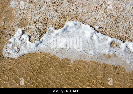 Lake Clifton western Australia und die seltene Kolonie der 6 Kilometer langen thrombolite Stromatolithen lebenden Felsen Strukturen in das schäumende Wasser. Stockfoto