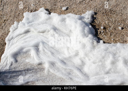 Lake Clifton western Australia und die seltene Kolonie der 6 Kilometer langen thrombolite Stromatolithen lebenden Felsen Strukturen in das schäumende Wasser. Stockfoto