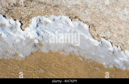 Lake Clifton western Australia und die seltene Kolonie der 6 Kilometer langen thrombolite Stromatolithen lebenden Felsen Strukturen in das schäumende Wasser. Stockfoto